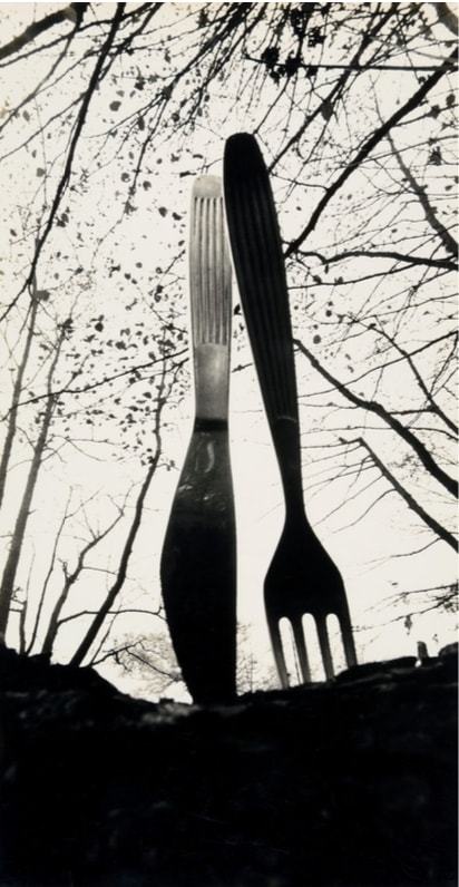 Leszek Szukowski, 1972, le pique-nique en forêt