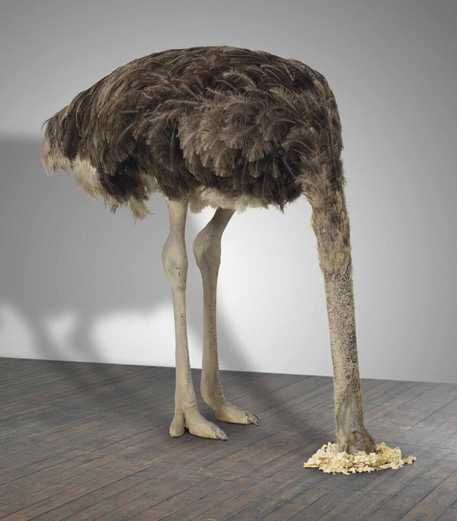 la politique de l'autruche - Maurizio Cattelan, Ostrich, 1997