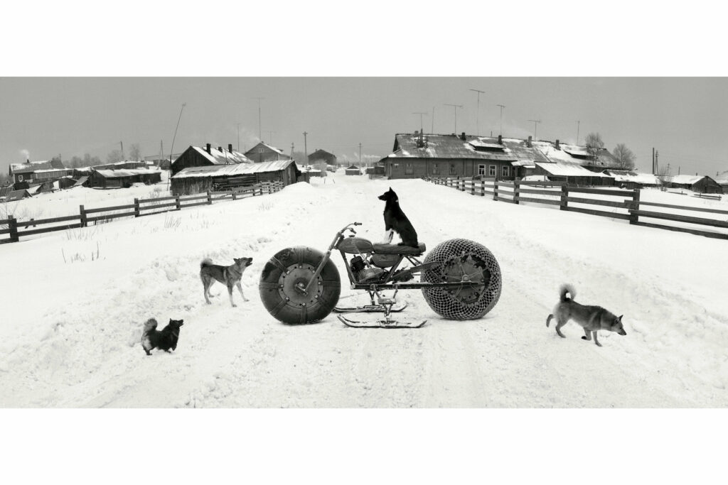 la bave des corniauds n'atteint pas la blanche colombe. Pentti Sammallahti, Solovki, White sea, Russia, 1992