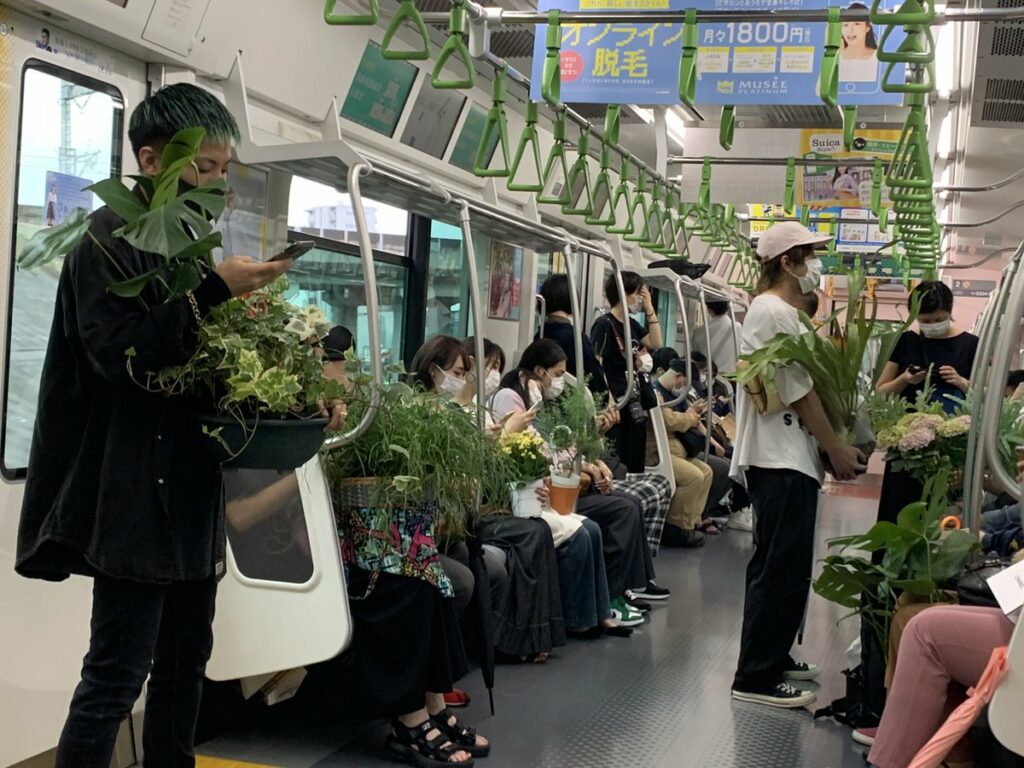 dès 2030 le port de la plante verte sera obligatoire partout dans le monde 