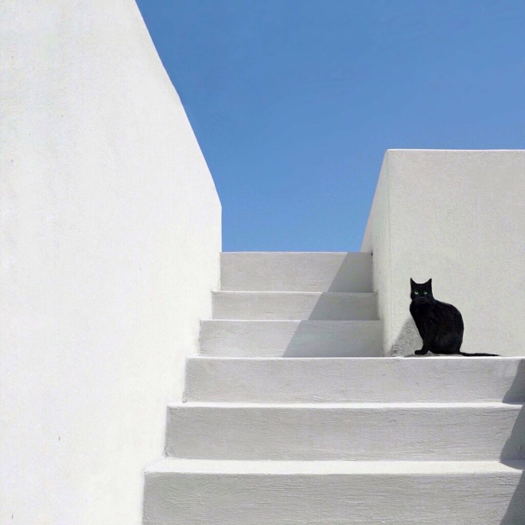 un jour de juillet. Leda De Piart, chat noir, escalier blanc