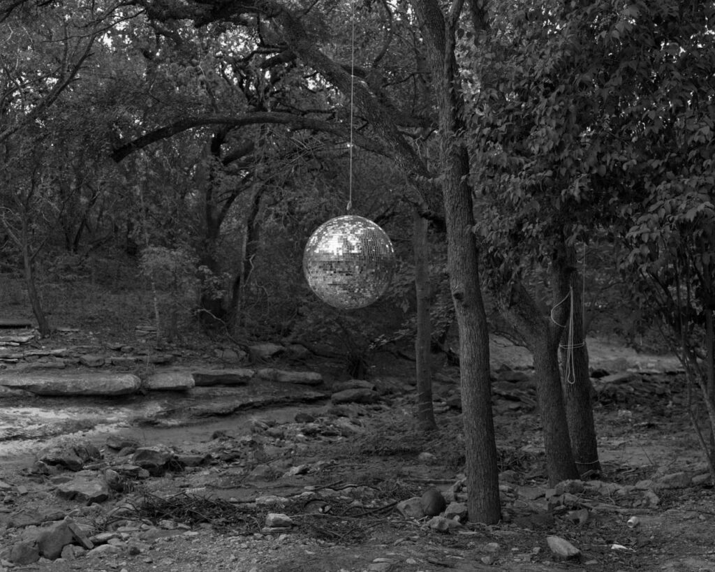 la nature était en fête. Alec Soth. une boule à facette dans la forêt