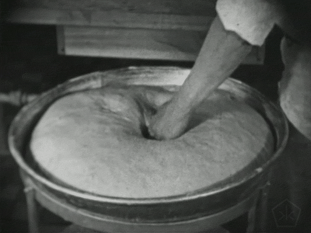traite moi comme de la pâte à bretzel. moisissures et levures, 1927