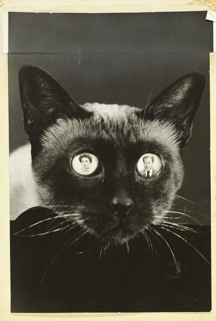 parle moi de mes parents. Erwin Blumenfeld : Rex Harrison and Lili Palmer surimposed on the eyes of a Siamese cat, 1950 
