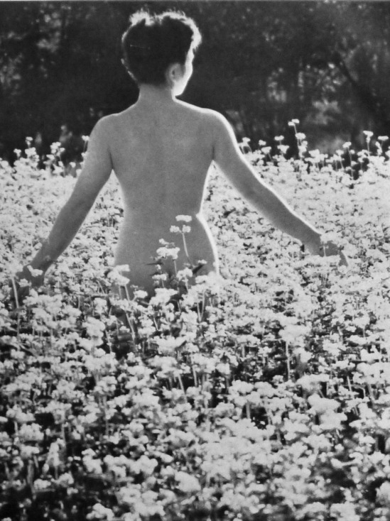 23 août. Katsuji Fukuda 福田 勝治, From Flowers and Nude Women, Tokyo Ars
