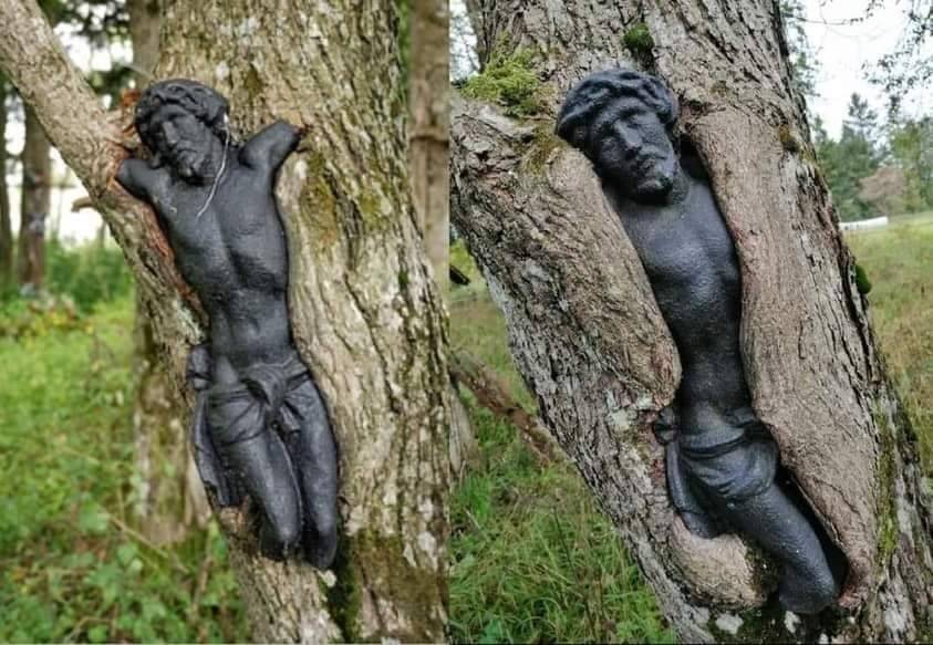 la vie de Jésus. Statue of Jesus getting slowly absorbed by tree at old cemetery in Bieszczady mountains, Poland