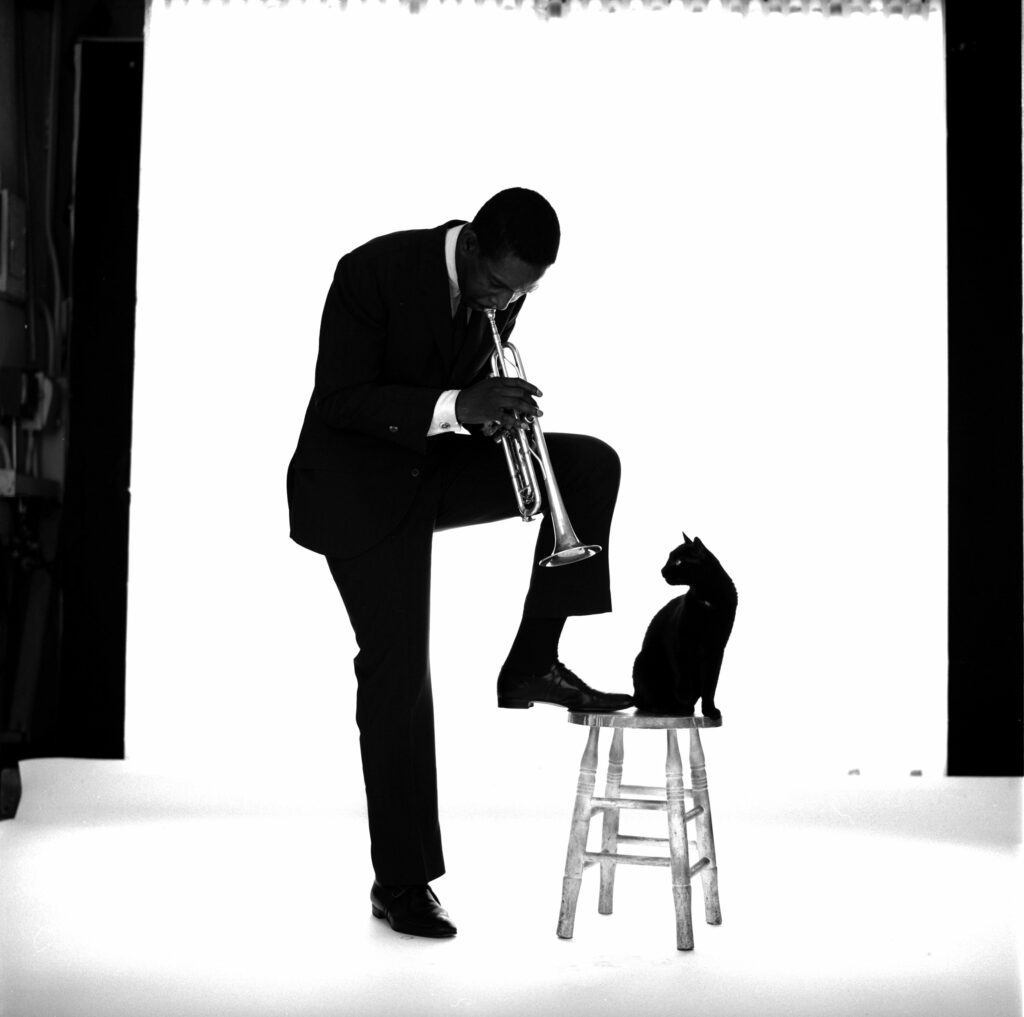 chamedi. Jerry Schatzberg, Kenny Dorham, 1959