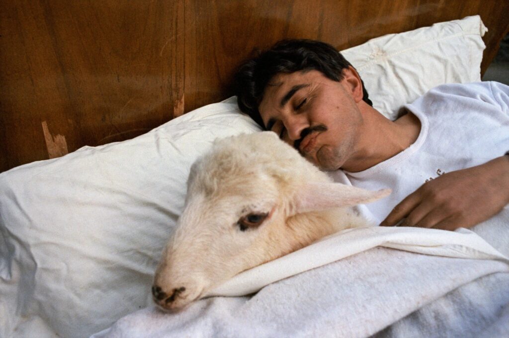il dormait toujours plus tard que moi. Laza, Spain, 1993 - by Cristóbal Hara (1946), Spanish 