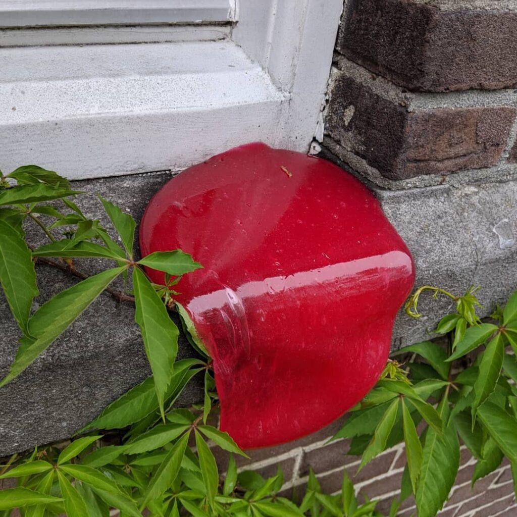 les fruits avaient fondu. Sema Bekirovic