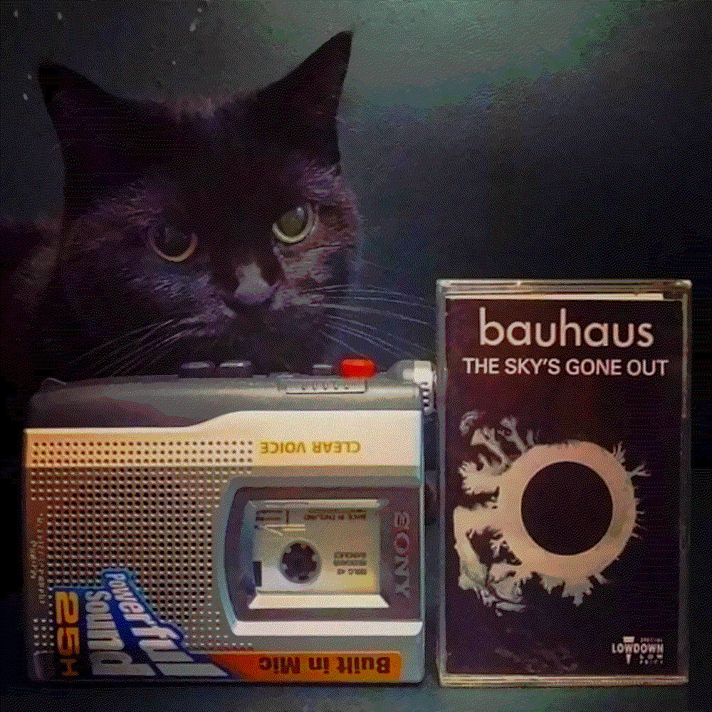 un chat noir derrière un baladeur lecteur enregistreur Sony (walkman) diffusant une cassette audio d'un groupe anglais de musique post-punk de rock gothique