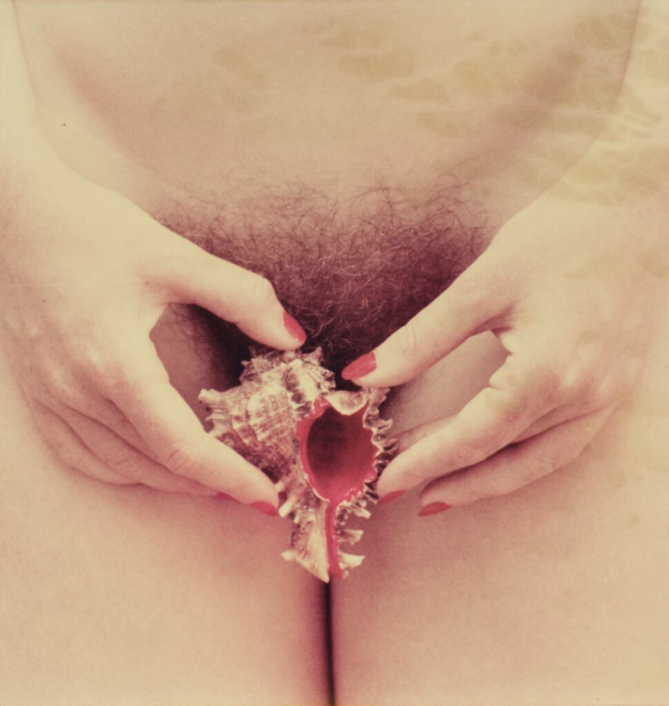 la femme nue tenant un coquillage devant son pubis