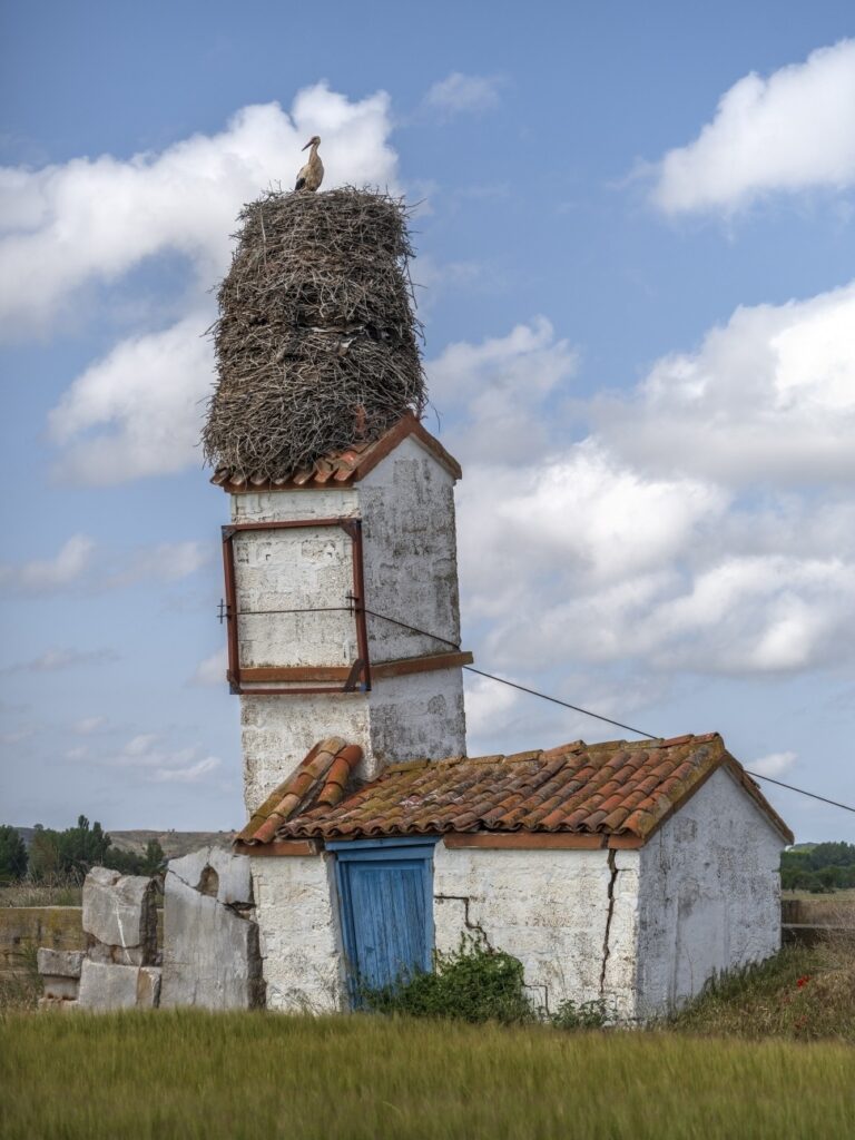A nest of several generations of storks in Santillán del Agua 