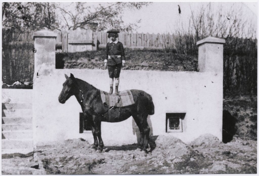 un jeune garçon debout sur son cheval