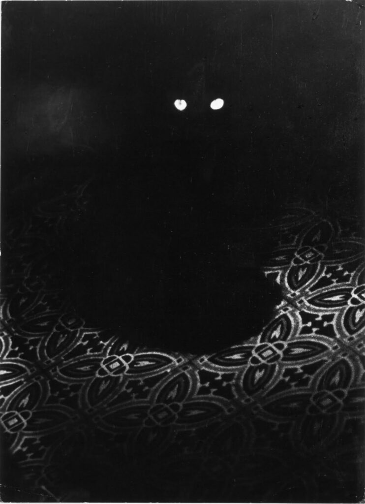 sur un tapis, les yeux du chat noir dans une pièce sombre