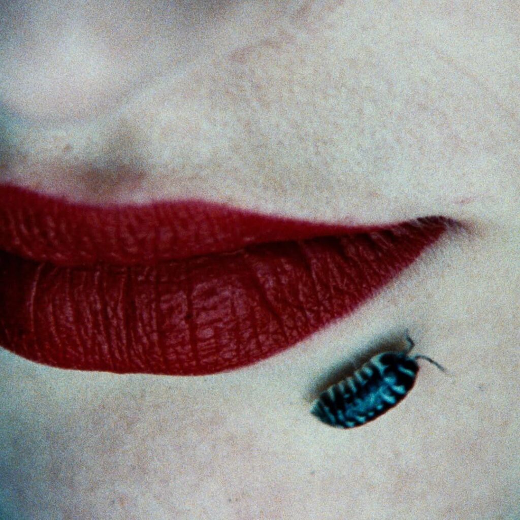 un insecte rampant près de la bouche close d'une femme aux lèvres fardées de rouge profond