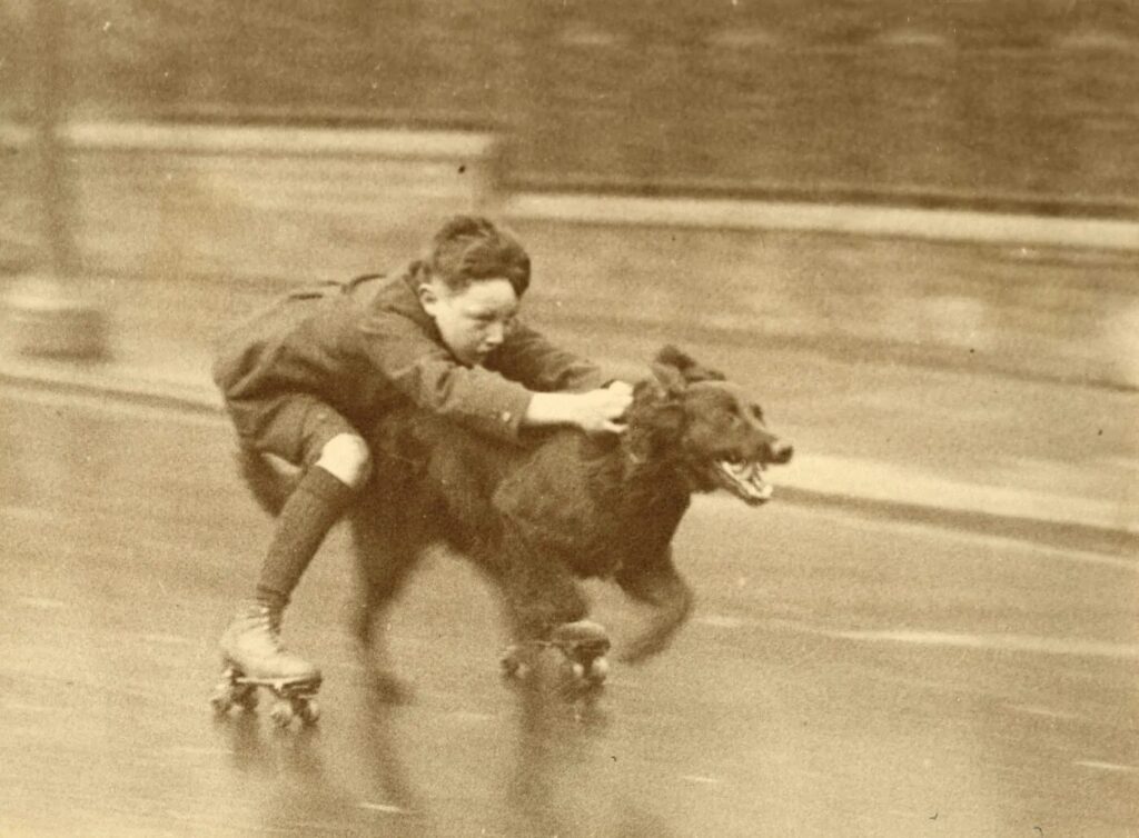 un jeune garçon en patins à roulettes cramponné à son chien qui le tire sur la route, lancés dans une course folle