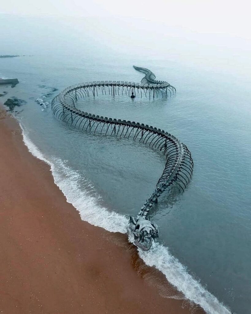 squelette de serpent de mer