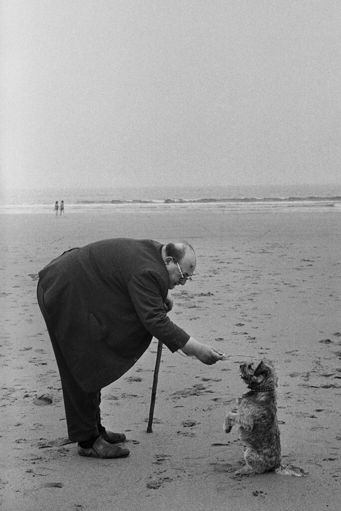 sur la plage, un homme tend un sucre au chien qui fait le beau 