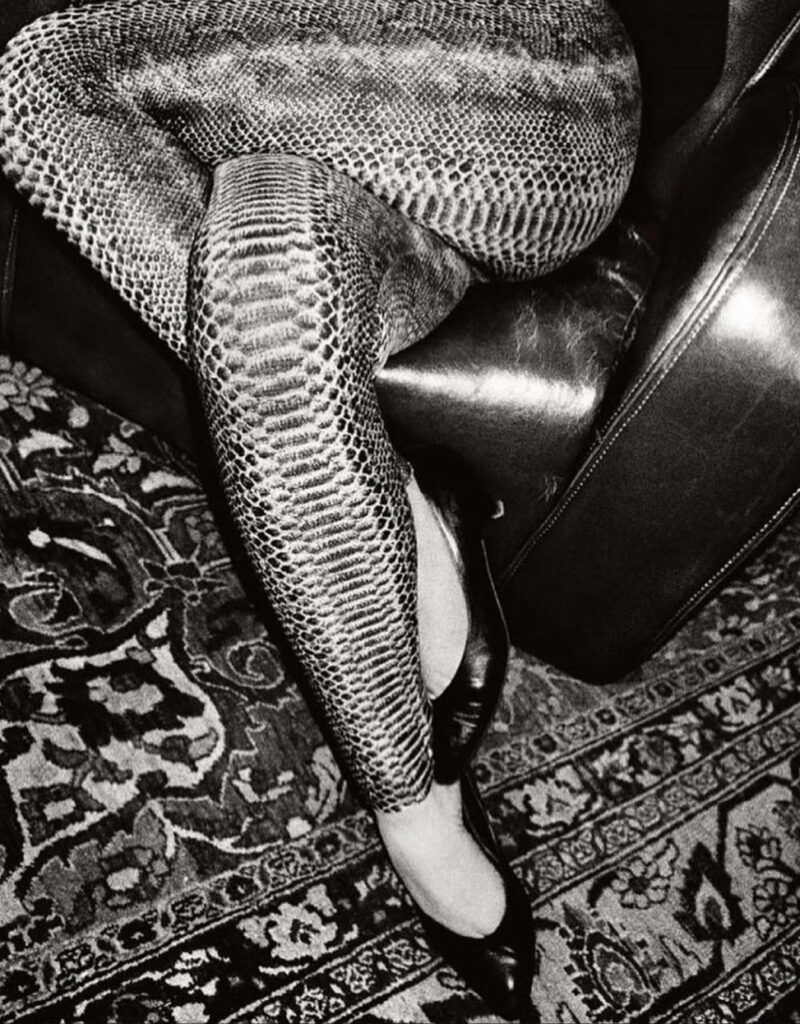 sur le tapis d'un salon, les jambes entrelacées d'une femme assise dans un fauteuil de cuir, gainées comme d'une peau de serpent 