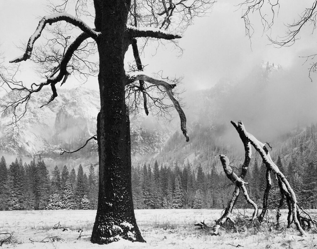 dans un paysage hivernal de montagne, les branches brisées du chêne, debout à côté de lui