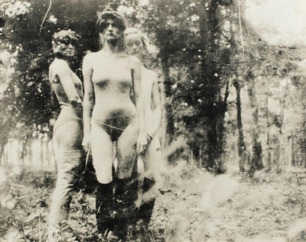 trois versaillaises de la forêt
