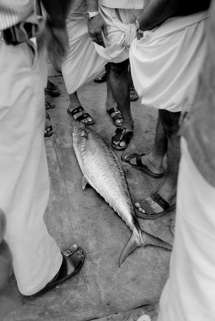 un gros poisson sur le sol entre les pieds d'hommes en sandales et spartiates