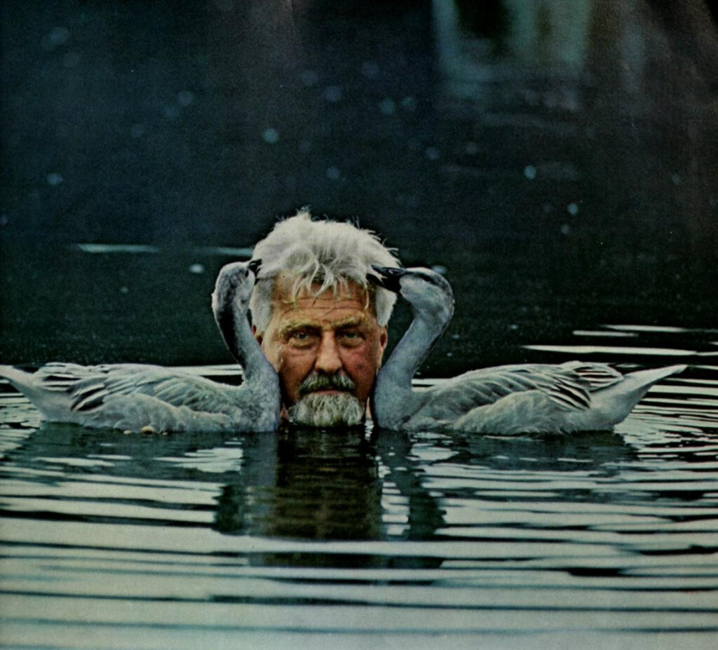 Ethologist Konrad Z. Lorenz with two goslings he raised