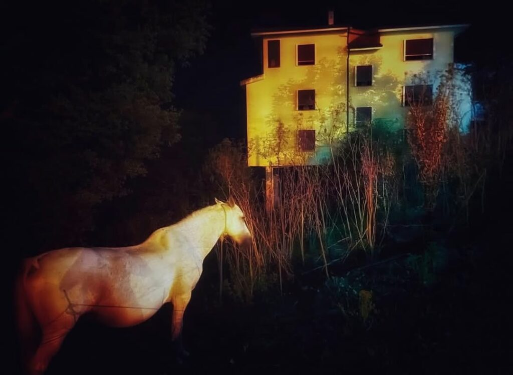 extérieur nuit, un cheval blanc dans le terrain vague devant une maison aux volets fermés, éclairé par des lumières artificielles