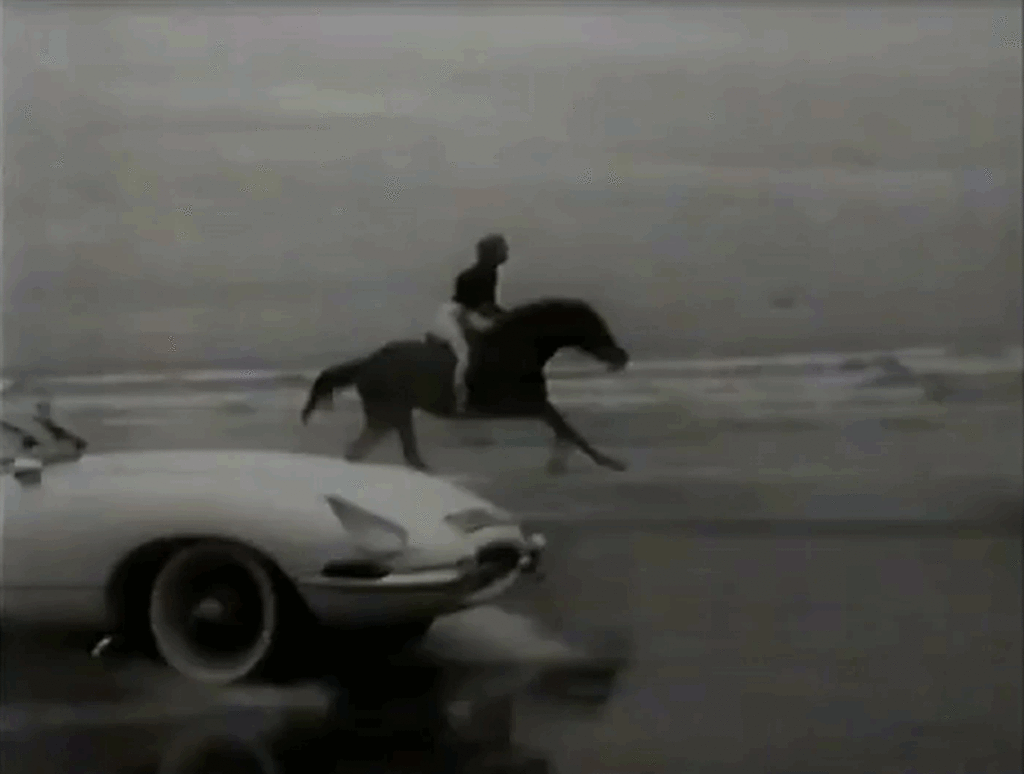 une jaguar et un cheval font la course sur la plage