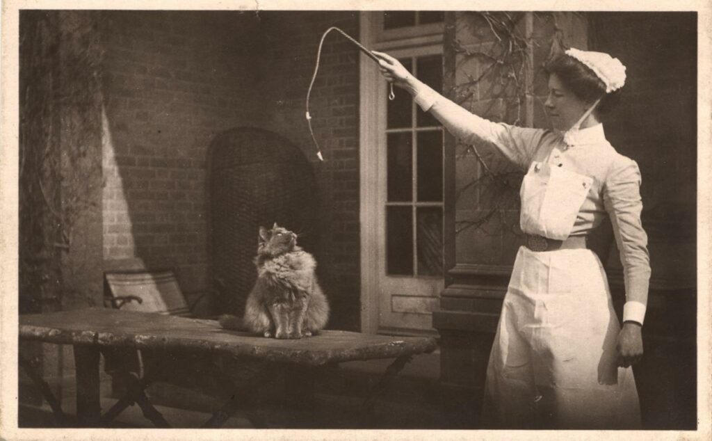 Photographie en noir et blanc d'une infirmière dresseuse de chat jouant avec un félin. Elle tient un jouet pour chat au bout d'une longue ficelle. Le chat, assis sur la table, regarde le jouet.