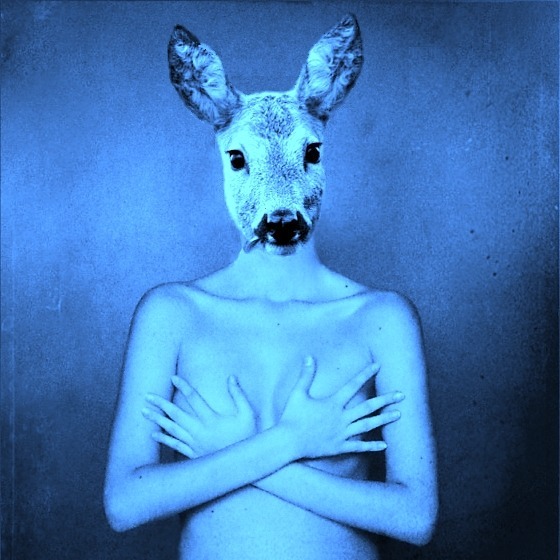 Bambi dans le matin bleu, les bras croisés sur sa poitrine