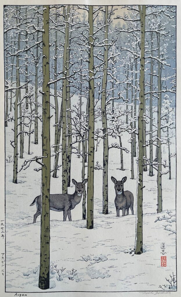 de jeunes cervidés surpris dans la forêt enneigée