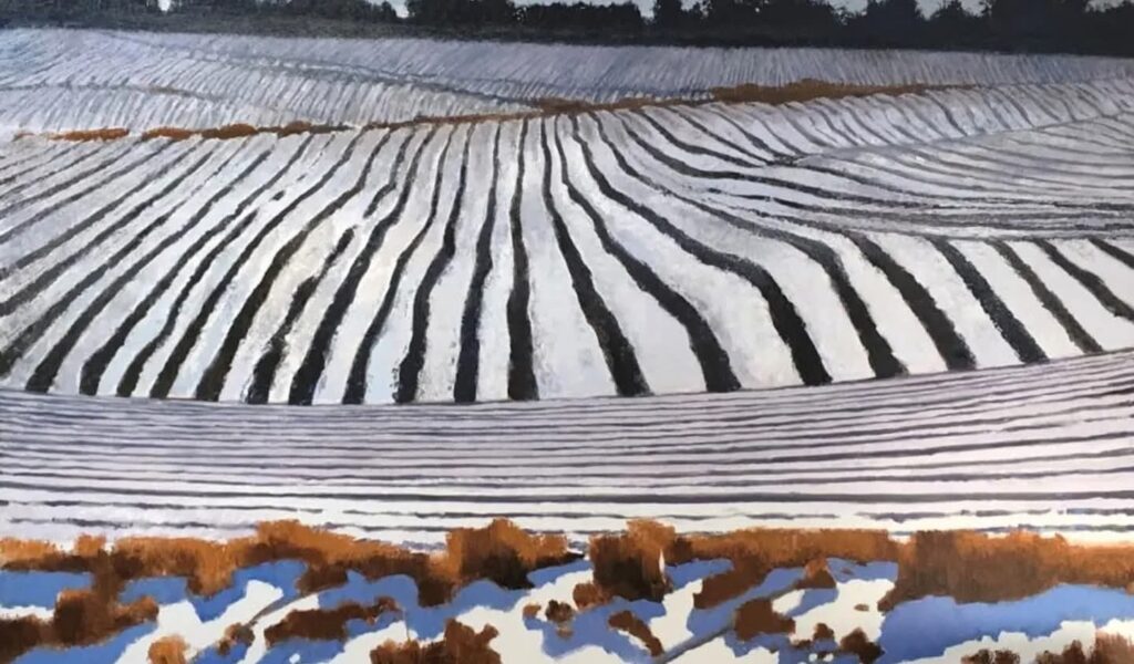 le champ des possibles sous la neige