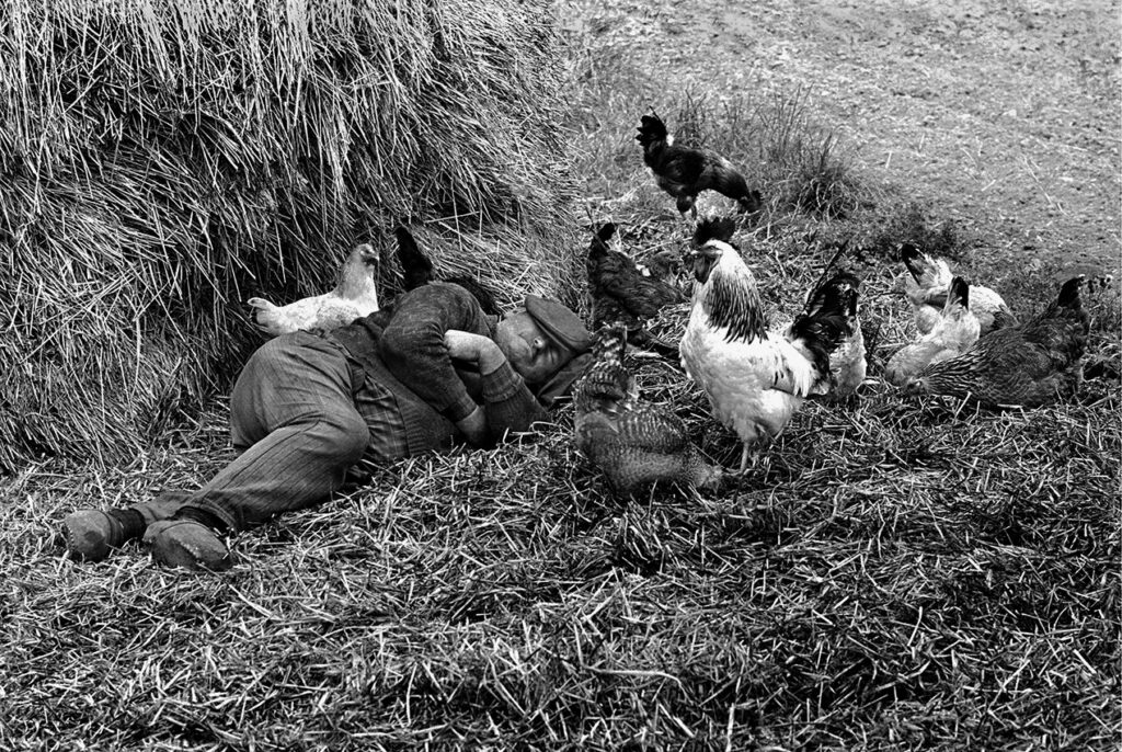 paysan faisant la sieste dans le foin parmi les poules et les coqs un dimanche en France