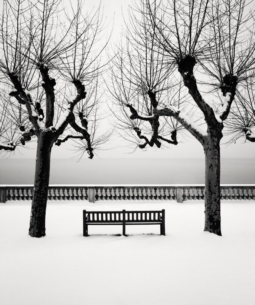 au bord du lac, un banc public sous la neige, parfaitement aligné entre deux arbres faisant tout pour être identiques