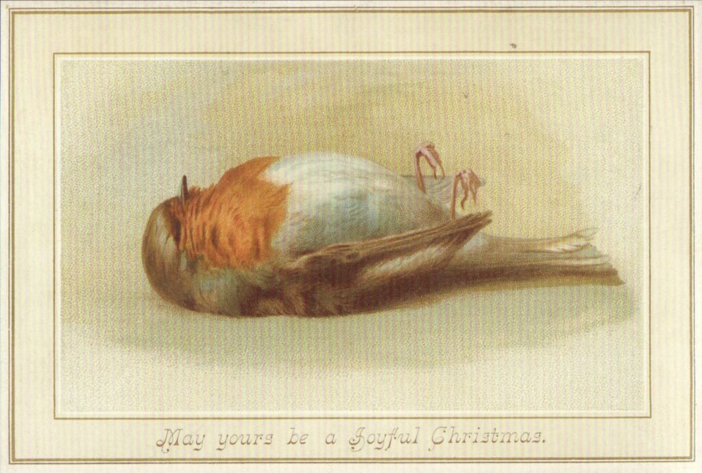carte de voeux victorienne représentant un oiseau mort sur le dos avec la légende : "Que votre Noël soit joyeux"