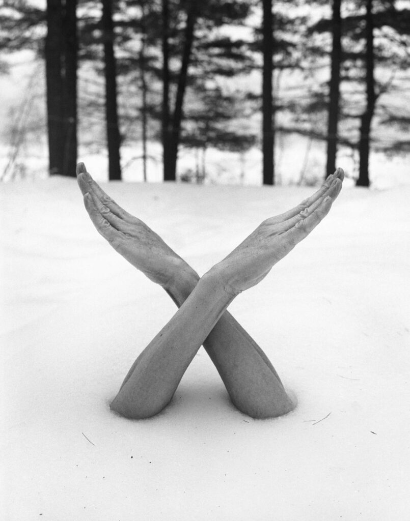 en montagne, deux bras positionnés en croix de saint André émergent de la neige en bordure de forêt pour signaler aux skieurs le fort risque d'avalanche et l'interdiction du ski hors-piste