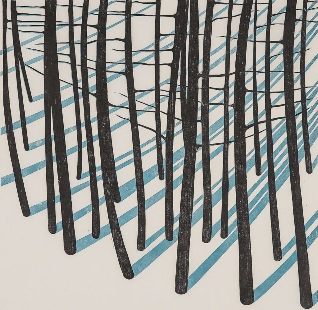 petit bois dans la neige sous le soleil d'hiver