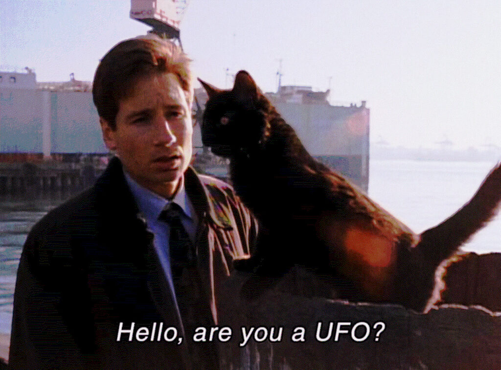 l'agent du FBI Fox Mulder demande à un chat de lui révéler s'il est un objet volant non identifié