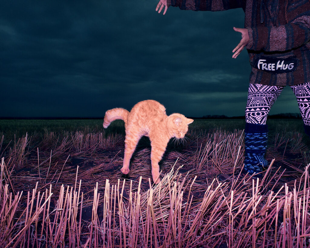 le dos rond d'un chat en cours de chute vers le sol, lâché dans le petit matin par un homme portant un pull "câlin gratuit"