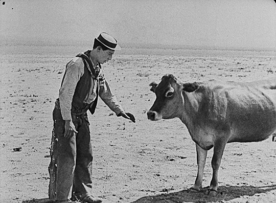 étape 2, établir un lien personnalisé avec l'électeur en lui faisant sentir que l'on est à sa portée et renifler la bonne odeur de son projet pour la commune