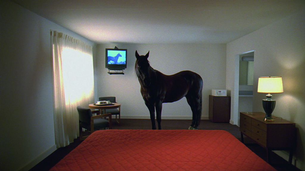 un cheval dans la chambre vide, un autre sur l'écran de la télévision