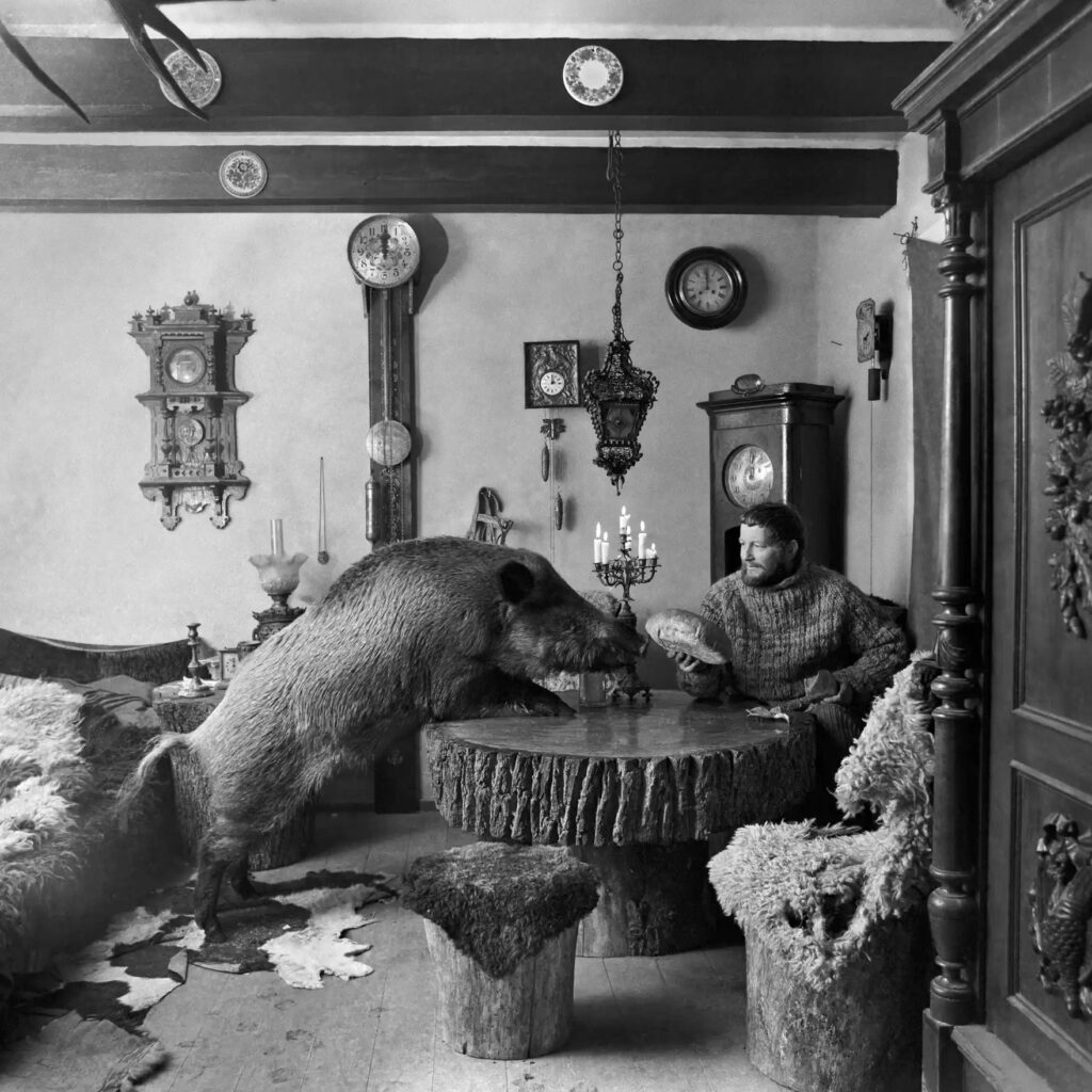 Lech Wilczek rompant le pain avec un sanglier