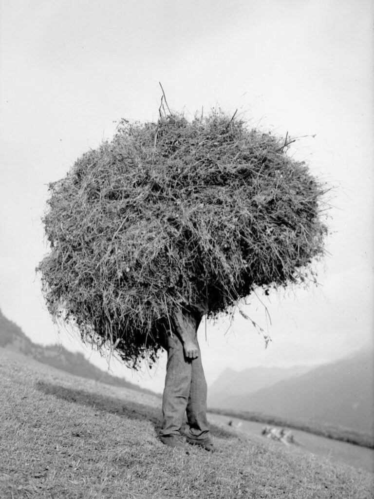 Paysan de montagne transportant du foin, Tyrol, Autriche, 1942