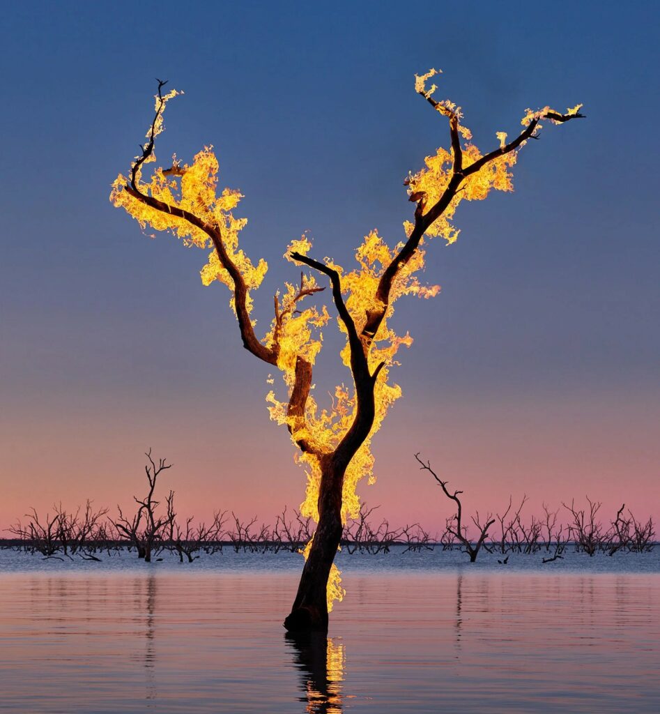 un arbre en feu dans une zone inondée