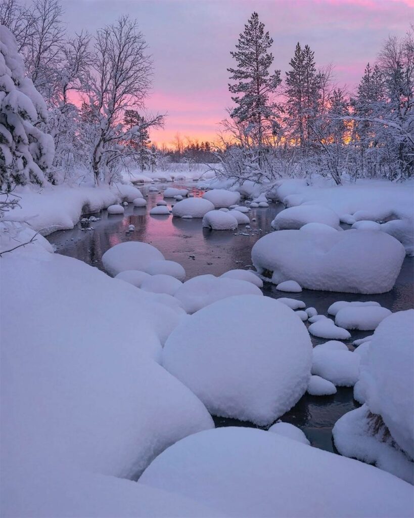 un ruisseau traverse un petit bois sous la neige, reflétant les roses du ciel