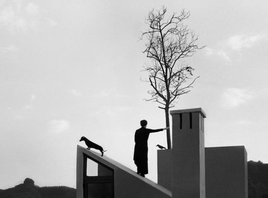 sur un toit, une silhouette humaine participe à une composition avec oiseau, arbre et chien 