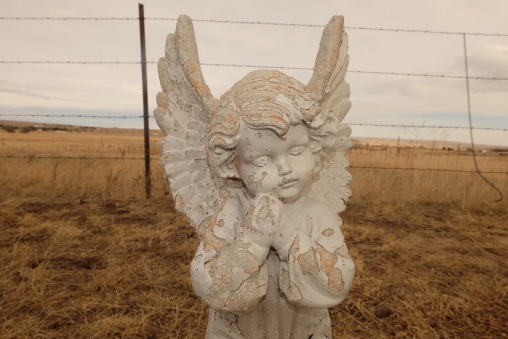 l'ange des champs aux mains jointes et aux ailes levées