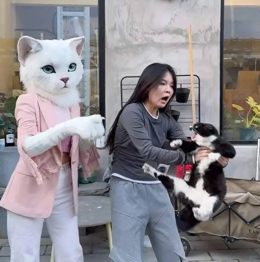 la révolte d'un vrai chat, toutes griffes dehors contre une humaine déguisée en chatte