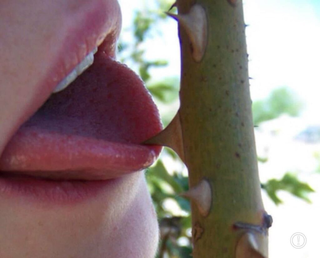 une épine de rose sur la langue d'une jeune femme